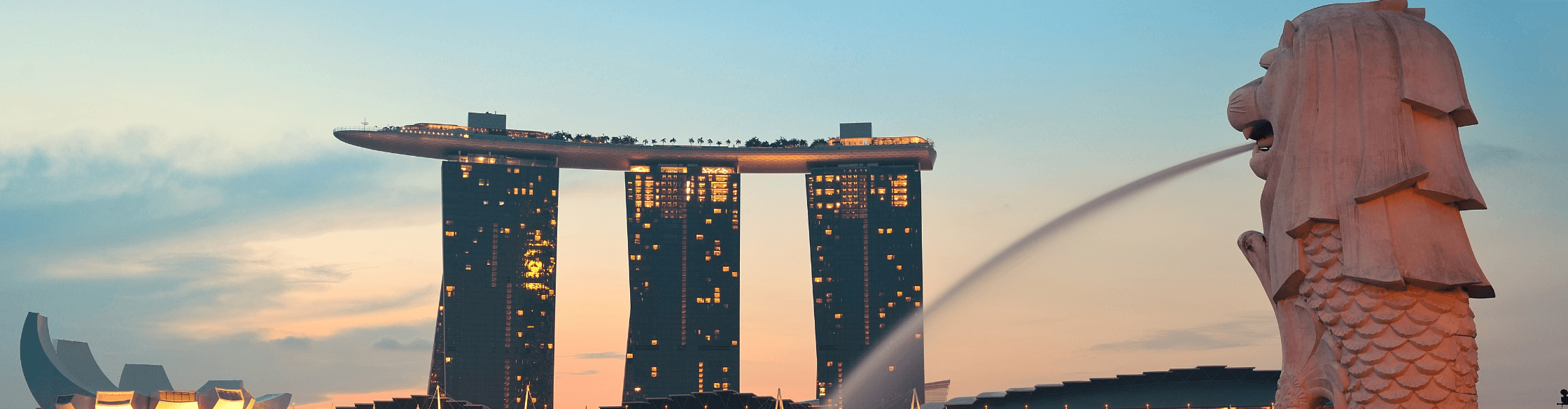 Global Impact Fellowship in Singapore