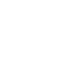 IELS Logo